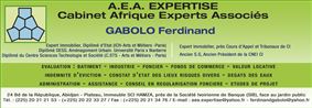 A.E.A EXPERTISE (CABINET AFRIQUE EXPERTS ASSOCIES)